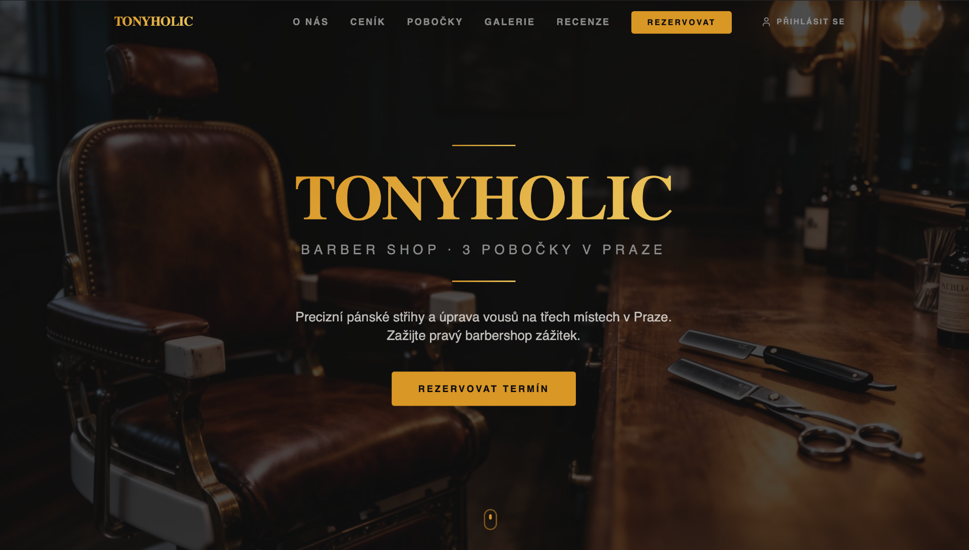 Náhled webové stránky Tony Holič — realizace SwiftStudio